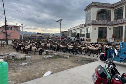 秘境甘加美食府