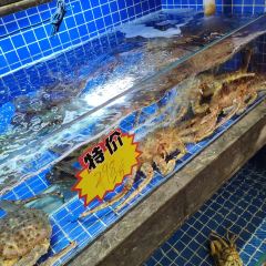 DaYang HaiXianCheng 여행 사진