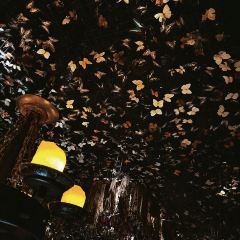 The Iron Fairies Hong Kong User Photo