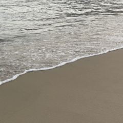 小徑灣艾美酒店·北緯22大堂吧張用戶圖片