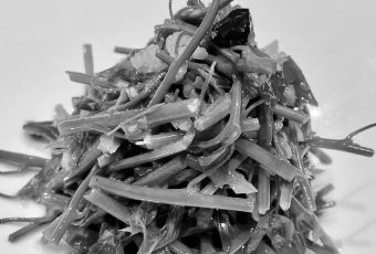 XIN RONG JI User Photo