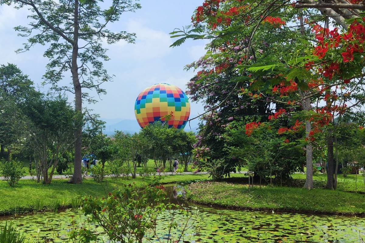 3. Escape to the Tranquil Menglun Nature Reserve