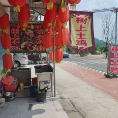 树上土鸡 User Photo