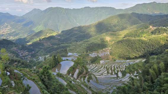 Yunhe Rice Terraces Scenic Area - Seven-Star Pier