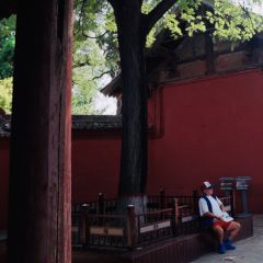 芝秀羊肉饸饹(韩城店) User Photo