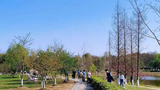 青龍湖公園是一個非常適合騎行漫步曬太陽溜娃的好地方，面積很大
