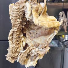 威龍羊肉館張用戶圖片