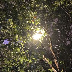 小螺号·蒸汽海鲜连锁餐厅(第三海水浴场店) User Photo