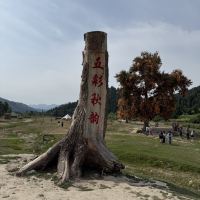 評論圖片 1