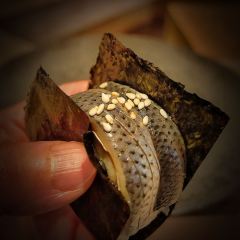 嶺寿司 User Photo