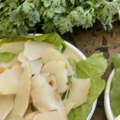 Tamura • Shipot Tibetan Chicken User Photo