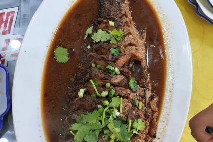 壶口黄河娃土菜鱼村