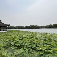 評論圖片 1