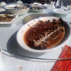 生态园土菜鱼庄 User Photo