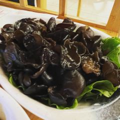 武国·四物椰鸡·养生餐厅(海控国际店) User Photo