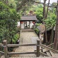 評論圖片 9