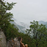 評論圖片 5