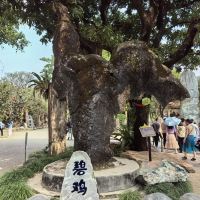 評論圖片 2