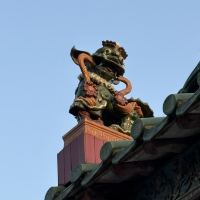 評論圖片 8