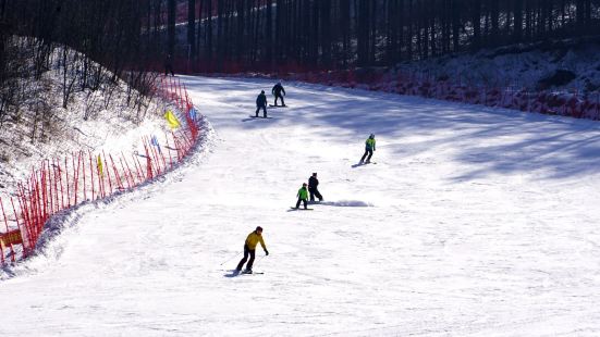 雪季末来滑的，雪道超级赞，主要是真长啊，没想到在辽宁还有这么