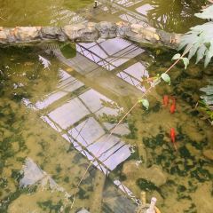 Green Agriculture Ecological Park User Photo