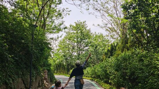 黄岛沙滩边，绿树成荫，栈道如卷，值得一看