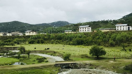 香格里拉小中甸牧场旅游季节每年5月下旬到9月是小中甸鲜花盛开