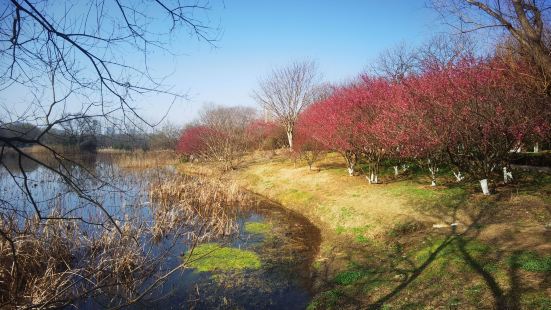 Hefeixikuo Park