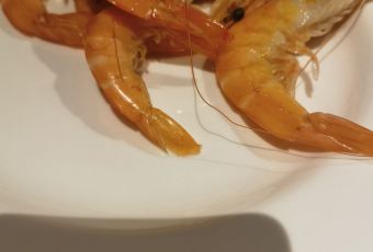 北京東方君悦大酒店·景er The Balcony自助餐廳用戶圖片