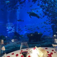 OSSIANO UNDERWATER RESTAURANT & BAR User Photo