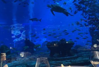 OSSIANO UNDERWATER RESTAURANT & BAR User Photo