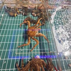 必点·蒸汽海鲜连锁餐厅(三浴场店) User Photo