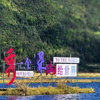 評論圖片 1