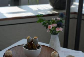 Maison Lameloise萊美露滋（上海中心店）用戶圖片