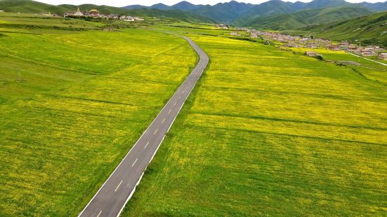 阿坝县隶属于四川省阿坝藏族羌族自治州。阿坝县地处青藏高原东南