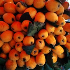 三门餐厅 User Photo