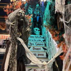 Little Kook User Photo