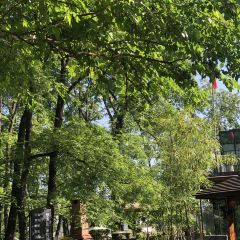 黄山梦溪别院·森林度假酒店(西溪南古村落店)·餐厅 여행 사진