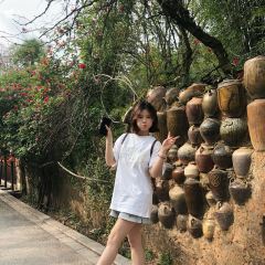 SANBAO SHI WAI TAO YUAN User Photo