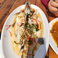 金华土菜馆(焦武线店) User Photo