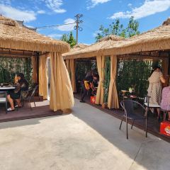 陽光衛星美食莊園張用戶圖片