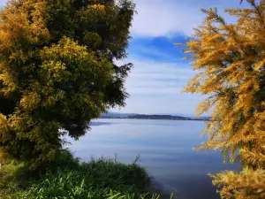 Popular Fall Viewing Attractions in Shiping
