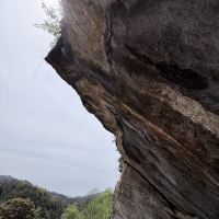 評論圖片 6