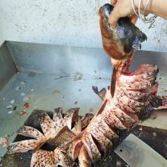 江尾田园火秋鱼 User Photo