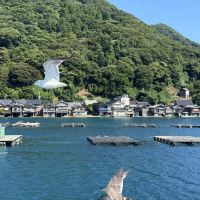 評論圖片 1