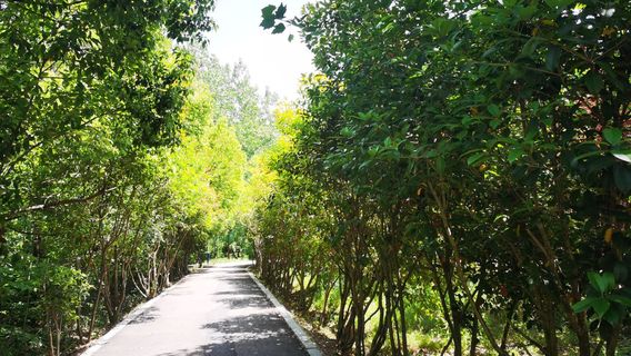 Changfeng County Dujicun Bird Island