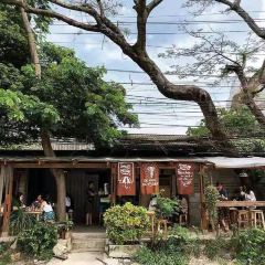 Black Gooseberry Chiangmai User Photo