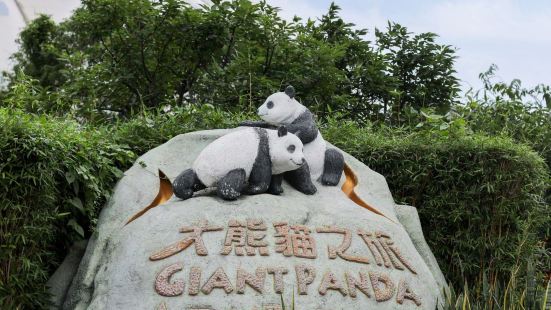 🐼冬日旅游必去 | 香港海洋公园嗨翻天🎉✨这个冬日不知道