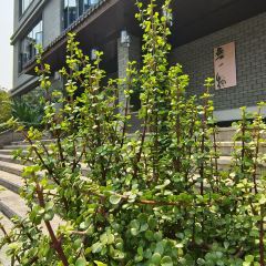 云海人家饭店 User Photo