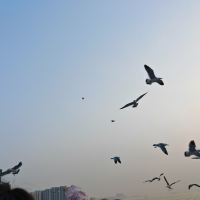 評論圖片 6